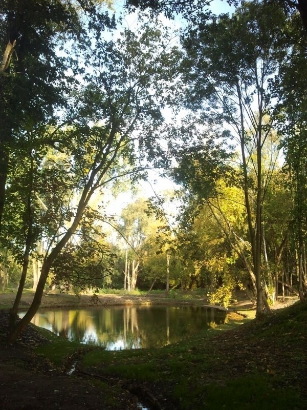 Park Nadolnik.