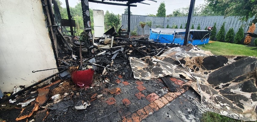 Na terenie ogródków działkowych Jarzębinka w Koronowie w...