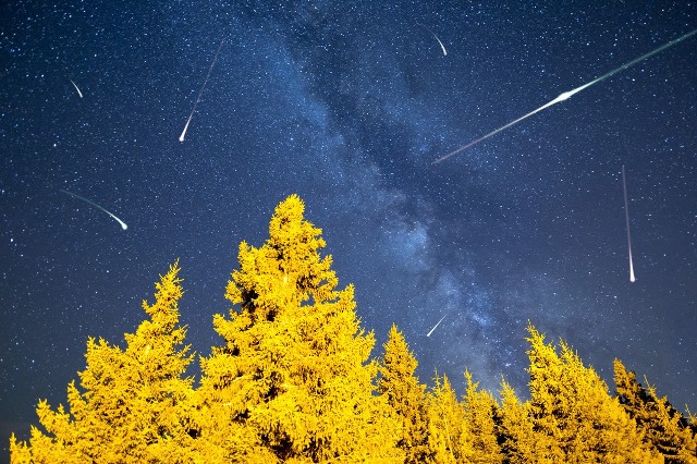 Roje meteorów można obserwować w nocy i w dzień
