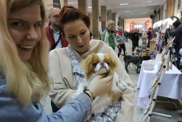 PupiLove Targi, na których oferowano wszelkie akcesoria i gadżety dla zwierząt domowych, cieszyły się dużym powodzeniem.Zobaczcie na kolejnych slajdach, co można kupić swoim pupilom 