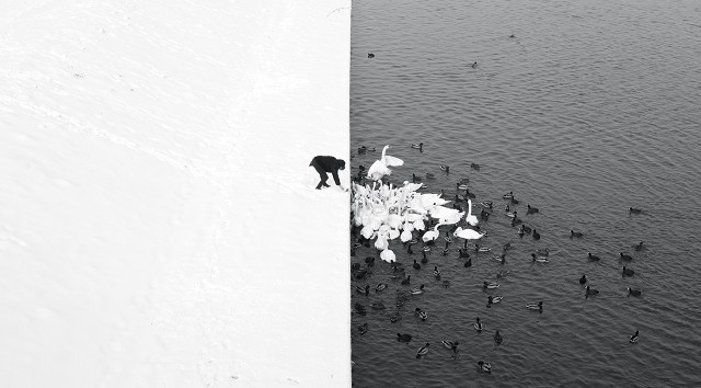 Kiedy pstrykał zdjęcie człowiekowi karmiącemu w Krakowie łabędzie, nie miał chyba pojęcia, że obejrzą je miliony. I że fotografia zmieni jego życie. Dziś Marcin Ryczek wie dobrze, co chce robić. Wieloznaczne obrazy, które skłaniają do refleksji