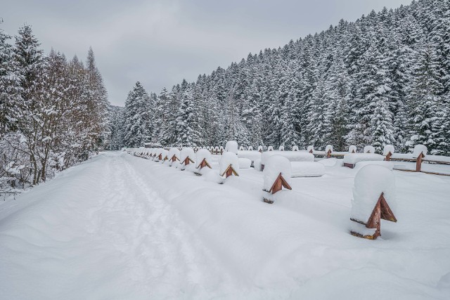 Zimowe krajobrazy z Kamiannej. Kliknij w przycisk "zobacz galerię" i przesuwaj zdjęcia w prawo - naciśnij strzałkę lub przycisk NASTĘPNE.