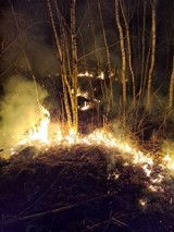 Znów podpalacze grasowali w gminie Borkowice, paliły się trawy w przysiółku Goworek i w okolicach Niskiej Jabłonicy. Zobaczcie zdjęcia