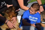 Festyn Rodzinny dla Frania Irzyka przyciągnął tłumy tych, którzy chcieli pomóc choremu 7-latkowi [ZDJĘCIA]