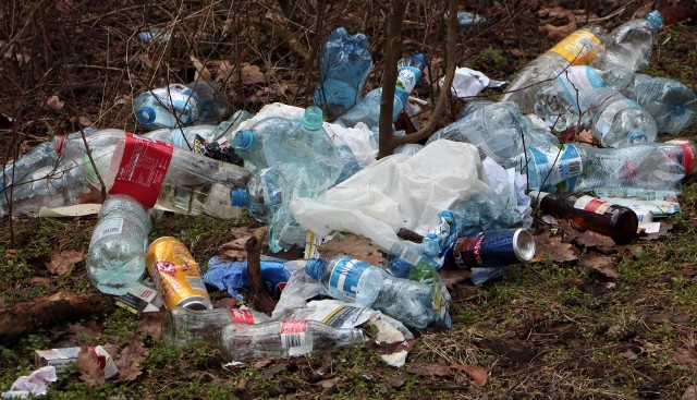 Tony śmieci leżą w lesie między osiedlami Rządz a Strzemięcin w Grudziądzu