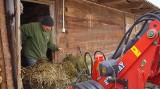 Rolnicy.Podlasie. Śmierdząca robota na podwórku w Plutyczach. Nowy filmik: Andrzej i Kuba w "Akcji obornik" wywożą gnój 