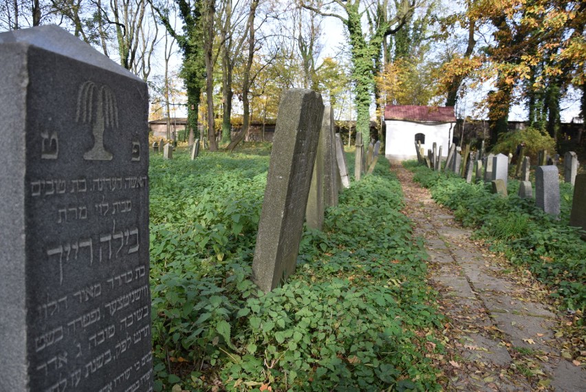 Niezwykła lekcja historii 1 listopada z dr Jackiem Proszykiem na zabytkowym cmentarzu żydowskim w Oświęcimiu [ZDJĘCIA]