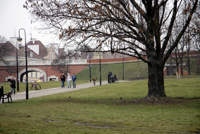 Błonia pod Zamkiem mają być miejscem rekreacji w środku miasta