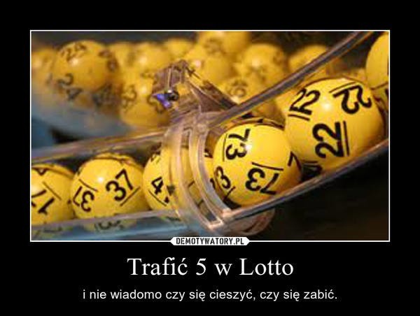 "Szóstka" w Lotto padła pod Poznaniem!