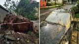 Intensywna burza przeszła przez Białogard. Drzewo spadło na samochód [ZDJĘCIA]