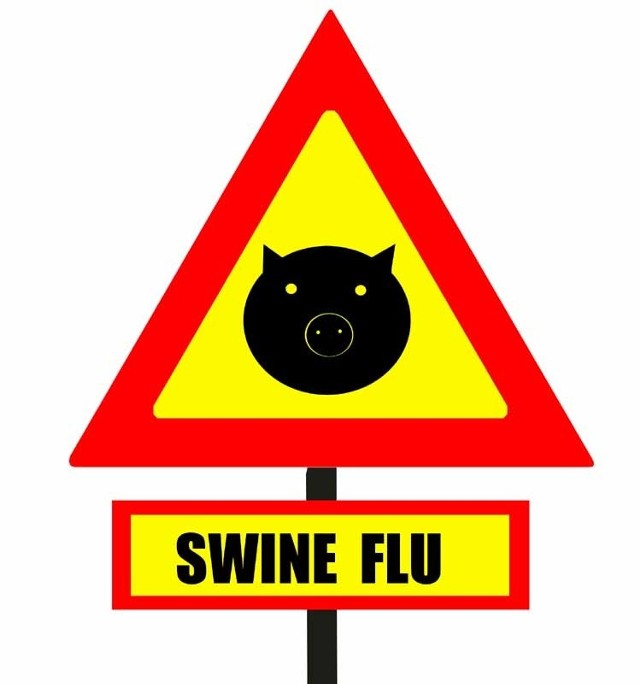 Świńska grypa z zawrotną prędkością rozprzestrzenia się u naszych wschodnich sąsiadów
