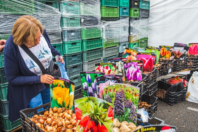 Targi „Jesień w Ogrodzie 2019” trwają dwa dni - 7 i 8 września (sobota i niedziela) w godzinach od 10.00 do 17.00 na terenie Pomorskiego Centrum Hurtowego „Renk”  przy ulicy Wodnika 50 w Gdańsku. „Jesień w ogrodzie 2019” tradycyjnie zachwyca bogatą ofertą i warto się wybrać na te targi. 