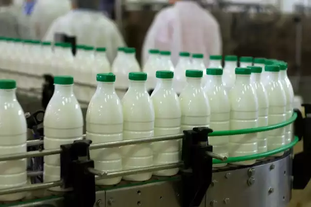 W województwie kujawsko-pomorskim ceny skupu mleka należą do najniższych w Polsce