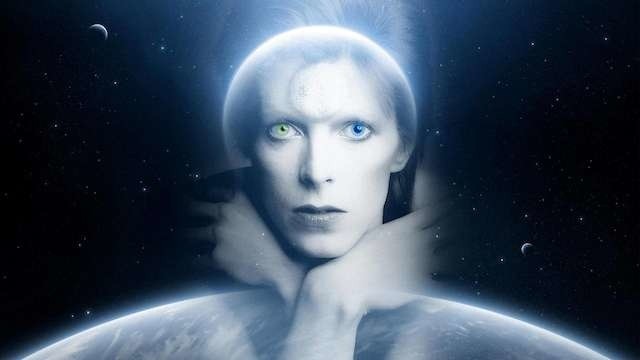 Koncertowi "Tribute to David Bowie" towarzyszyć będzie przegląd filmów, w których wystąpił legendarny artysta.