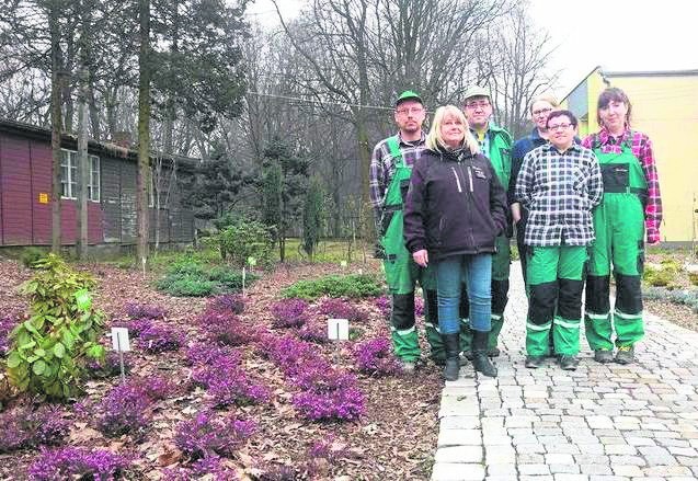 Miniarboretum powstało jesienią 2015 roku. 1 kwietnia zostanie otwarte dla zwiedzających po zimowej przerwie