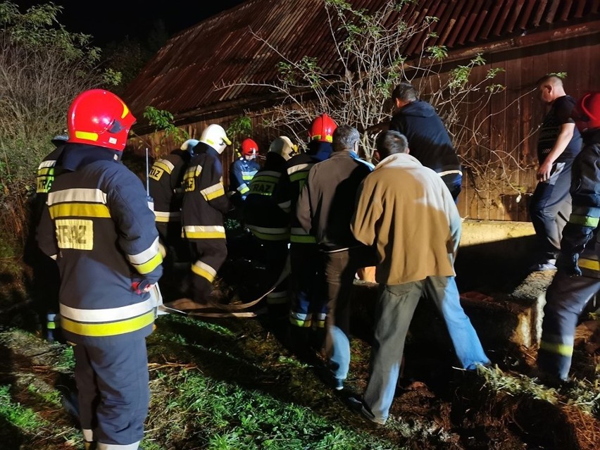 Niecodzienna akcja w gminie Bodzechów. Strażacy przez dwie godziny ratowali źrebną klacz [ZDJĘCIA]