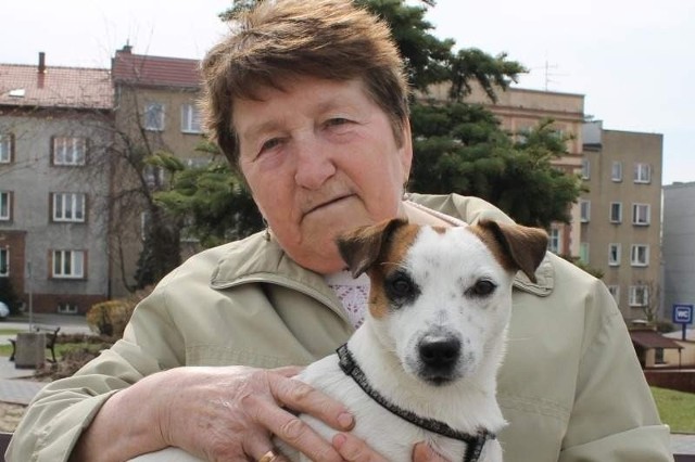 Pies pani Małgorzaty Kinder z Olesna ma już wszczepiony czip. - Lucky ma ponad rok, dostałam go od syna, który zadbał też o czip - mówi pani Małgorzata.