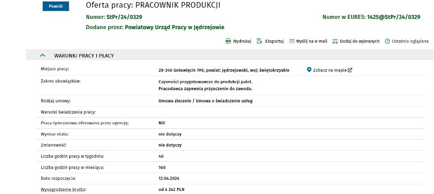 Najnowsze oferty pracy w powiecie jędrzejowskim. Można zarobić nawet 13 tysięcy złotych! Zobacz gdzie?