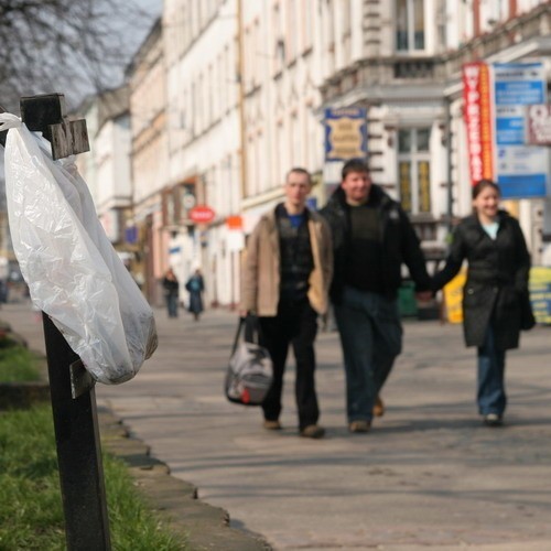 Reklamówka z psimi odchodami wisząca na tym, co zostało z kosza na psie nieczystości na ul. Wojska Polskiego.