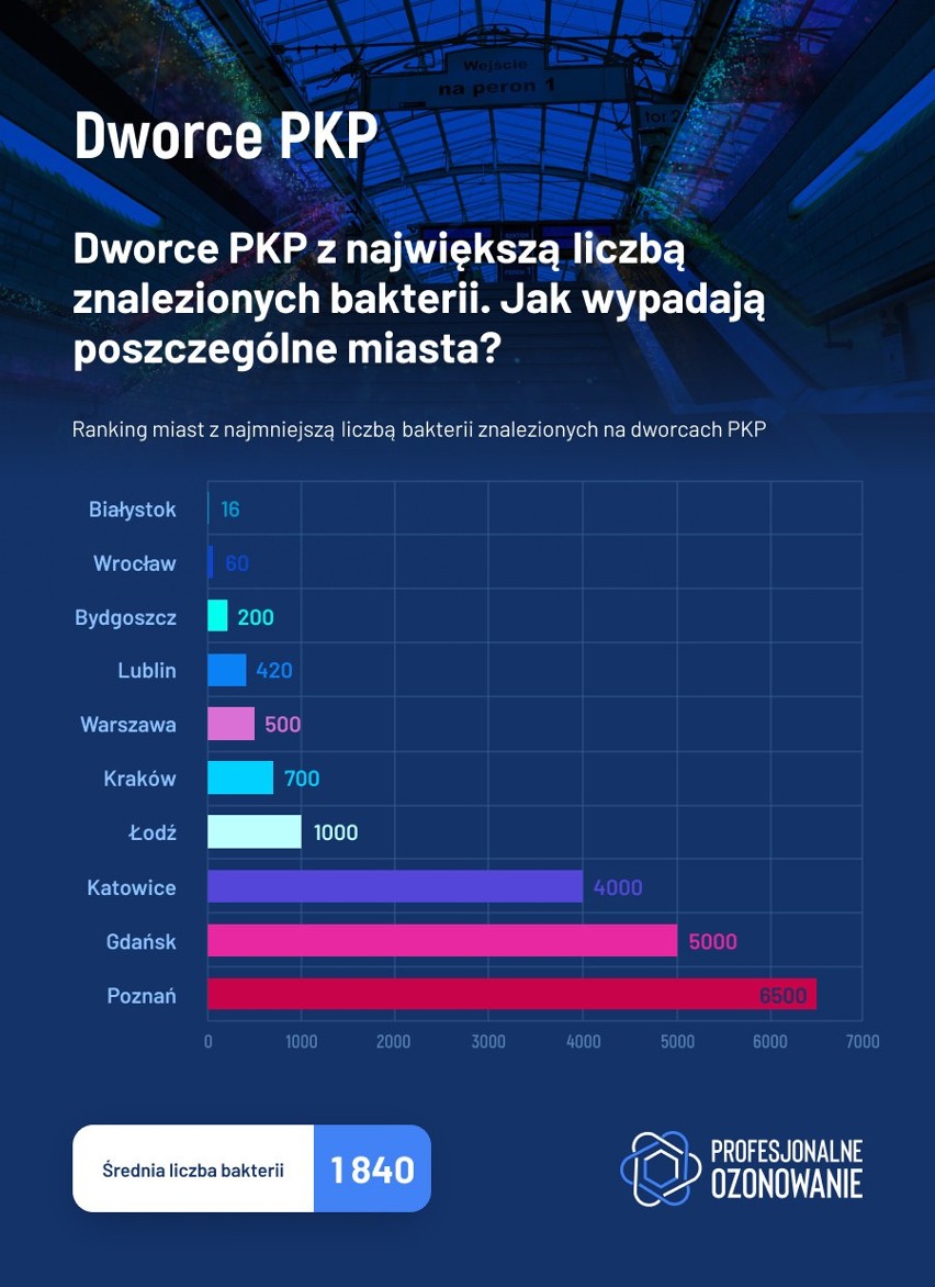 Ranking czystości. Białystok ma najczystszy dworzec PKP, ale wózki w sklepach pełne bakterii (zdjęcia)