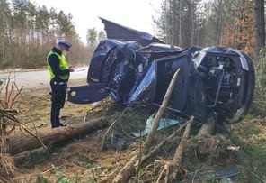 20-latek uderzył w drzewo. Wypadek na trasie Oskowo-Rokitki...