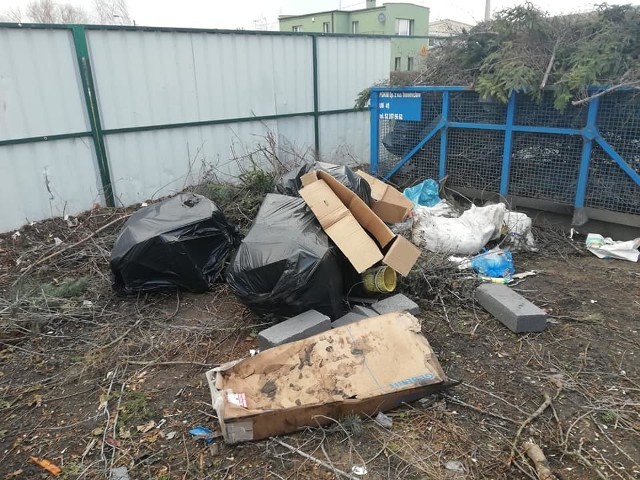 Strażnicy ustalili sprawcę, zobowiązali go do uporządkowania śmieci oraz ukarali mandatem w wysokości 500 złotych.