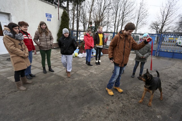 Szczęściarz dwa lata temu przybłąkał się pod Specjalny Ośrodek Szkolno-Wychowawczy w Słupsku. Był zaniedbany i głodny.