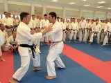 Karatecy z AKT Niepołomice-Kraków trenowali pod okiem mistrzów
