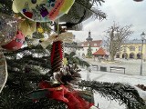 Pięknie przystrojone choinki ozdobiły podcienia w Krośnie. Świąteczne drzewka udekorowały przedszkolaki [ZDJĘCIA]
