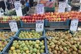 Ceny popularnych owoców i warzyw na bazarach w Kielcach we wtorek, 16 marca. Zobaczcie co staniało, a co zdrożało [ZDJĘCIA]