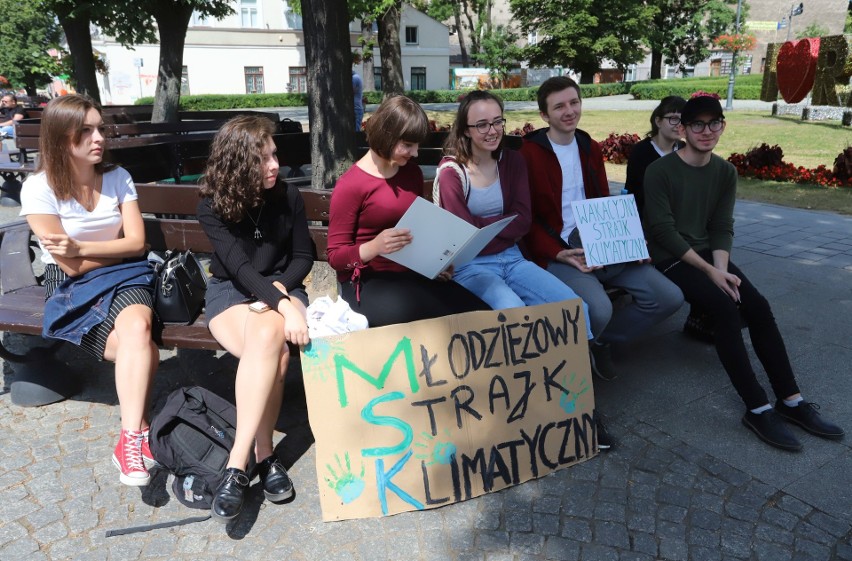 Wakacyjny Strajk Klimatyczny w Radomiu. Młodzi martwią się zmianami klimatu 