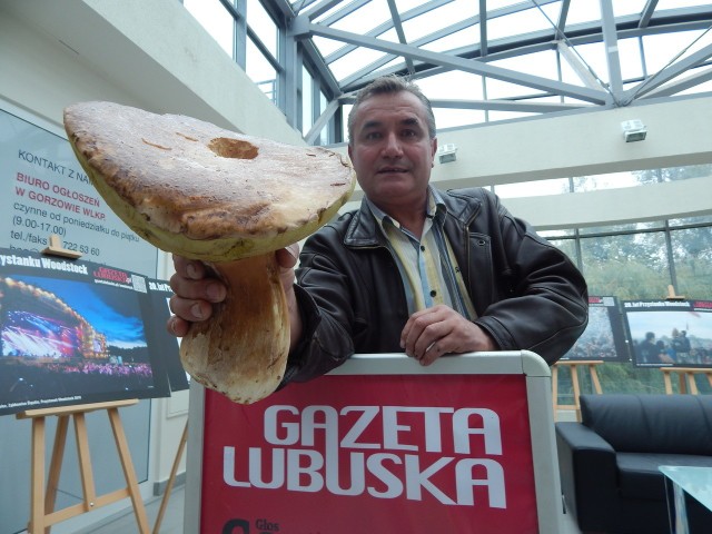 Szymon Łabuda prezentuje prawdziwka - giganta. - Waży ponad 1,2 kg! - mówi Czytelnik.