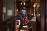 "Ant-Man" - nowa postać Marvela w kinach od 17 lipca [WIDEO]
