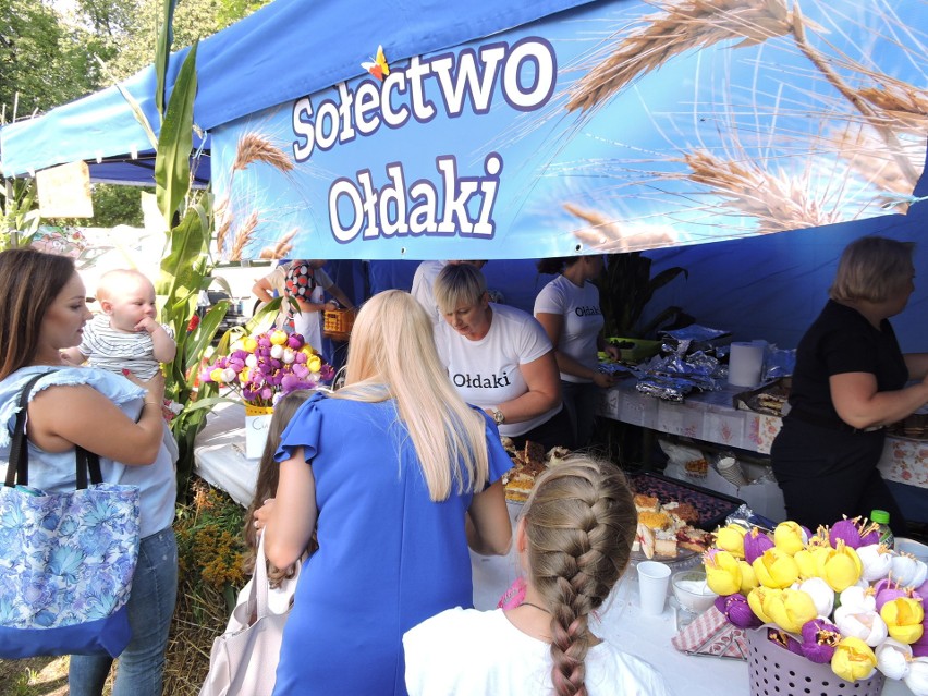 Przytuły Stare. Dożynki, czyli Przytulska Biesiada Dożynkowa "Świnia kontra dzik" 15.08.2019 [ZDJĘCIA]