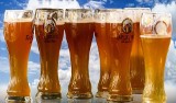 Procenty w piwie trzy razy droższe niż w wódce. Dlaczego? 