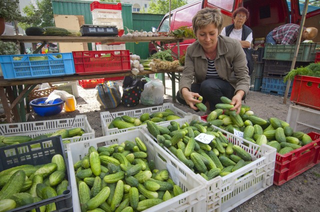 Promocje w Koszalinie. Ogórkowe zapasy na zimęOgórki nasza rozmówczyni wyceniła na 2, 3,50 i 5 zł, czosnek - 2,50 zł, koper z liśćmi chrzanu - 1,50-2 zł.