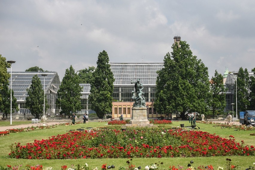 Już niedługo park Wilsona w Poznaniu przy ul. Głogowskiej w...