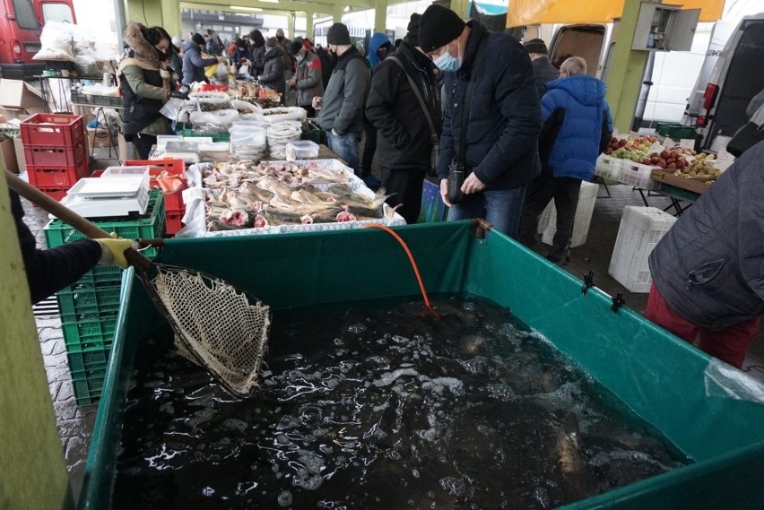 Ceny karpia 2020 na łódzkich targowiskach i w marketach. Na 4 dni przed wigilią są różnice w cenach, nawet spore