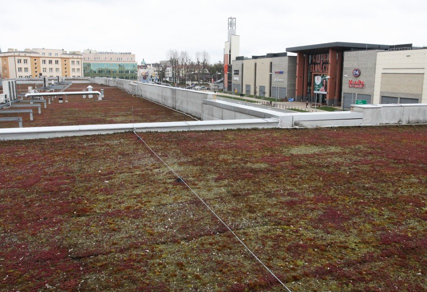 Dach zielony
Radom: ekologiczny dach na galerii Vis a Vis