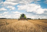 Zaburzona opłacalność produkcji rolnej psuje nastroje na polskiej wsi. GUS o koniunkturze w gospodarstwach
