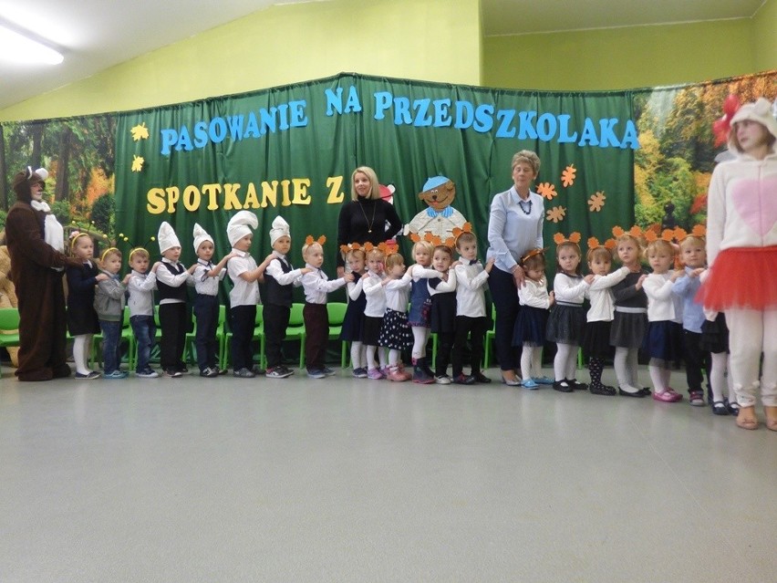 Uroczyste pasowanie przedszkolaków w Wodzisławiu - z pomocą... Misia Gustawa (ZDJĘCIA)