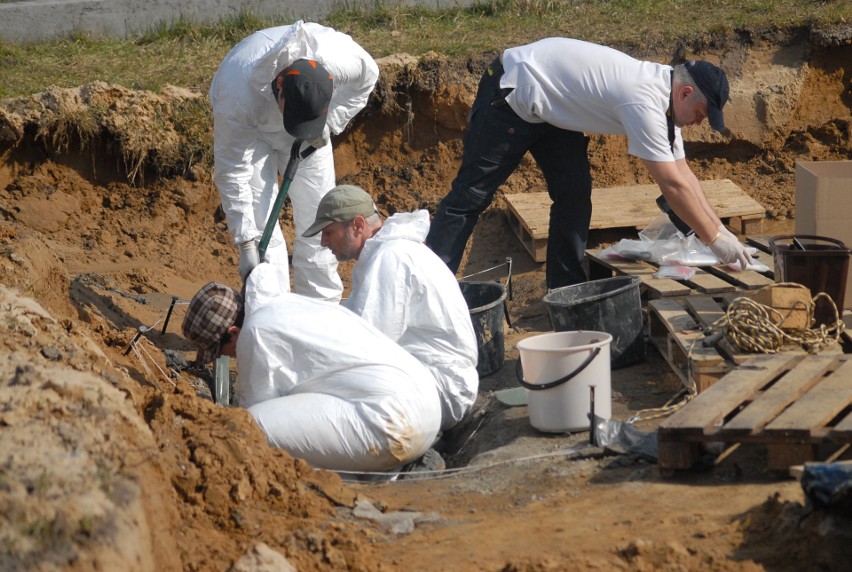 Prace ekshumacyjne w północnej części cmentarza Rakowickiego...