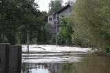 Raport powodziowy - Wisła groźna, mniejsze rzeki opadają, ale na wielu nadal przekroczony jest stan alarmowy!
