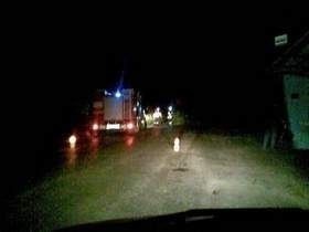 Strażacy usuwali powalone drzewo na drodze między Zwoleniem a Kazanowem.