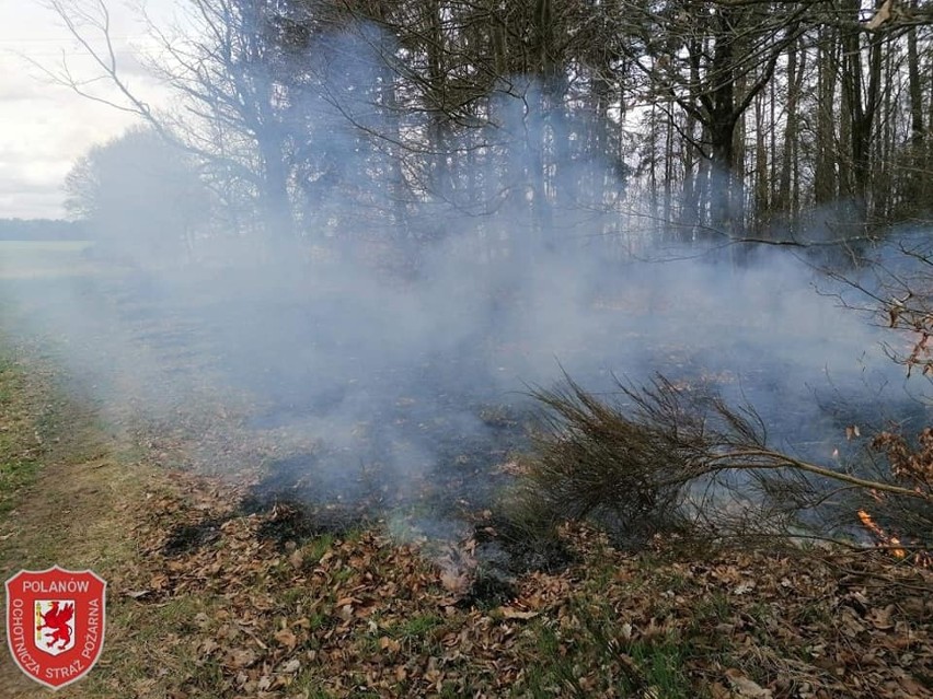 Wielin - Powalone drzewo blokujące przejazd w obu kierunkach