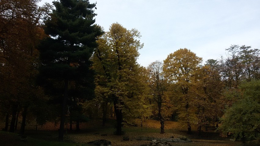 Zobacz jesień w Parku Dietla w Sosnowcu [ZDJĘCIA]