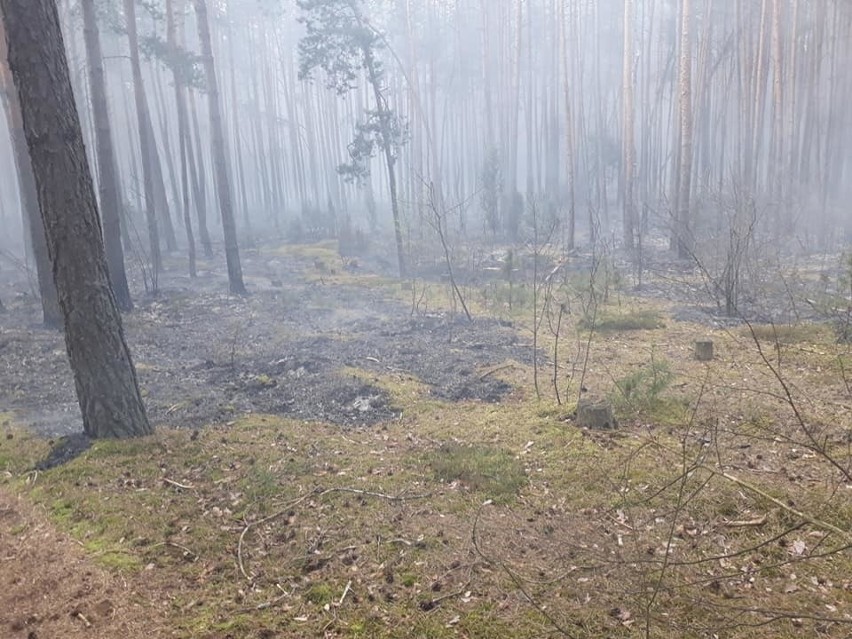 Powiat kozienicki. Dwudniowa akcja gaśnicza w Stawkach 