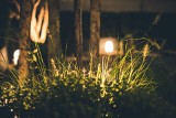 Ciekawa aranżacja ogrodu za pomocą pomysłowego oświetlenia – lampy, kinkiety i lampki