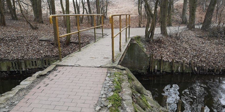 Mały mostek blokuje rozwój turystyk w Choszcznie. Senator interweniuje na prośbę przedsiębiorców