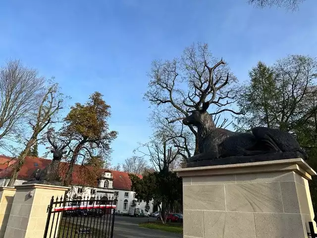 Repliki pierwotnych figur jeleni wróciły do parku przy pałacu w Tułowicach.
